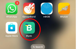Blynk App
